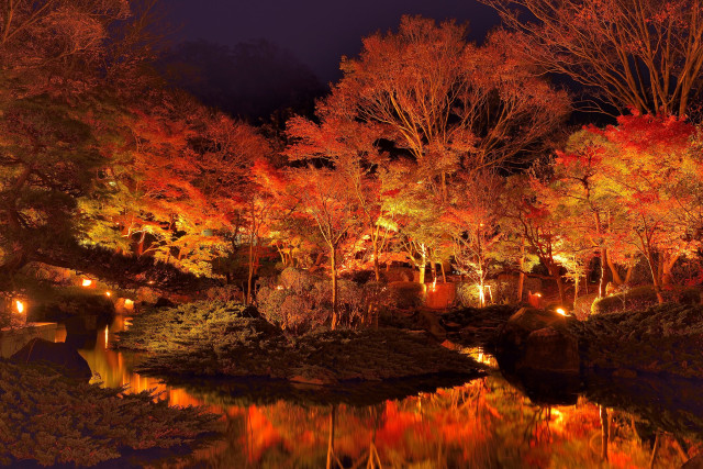 大磯城山公園